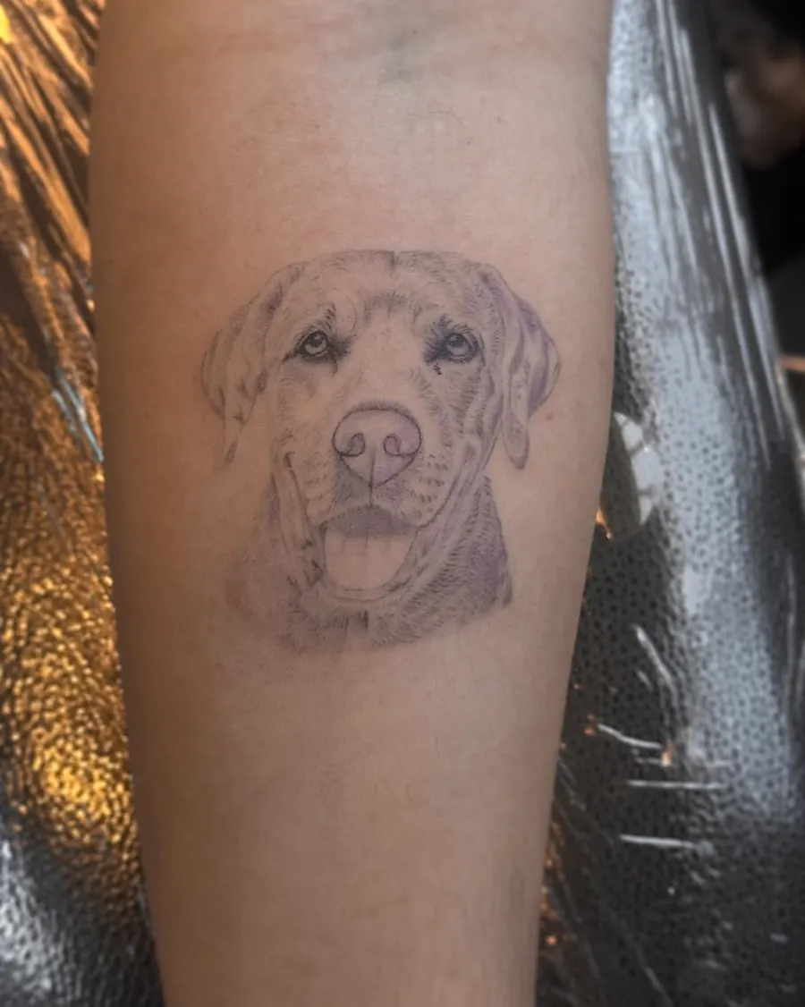 Labrador tatuado em preto e cinza com traço fino, no antebraço